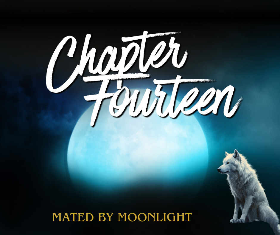 Mated by Moonlight Chapter 14
