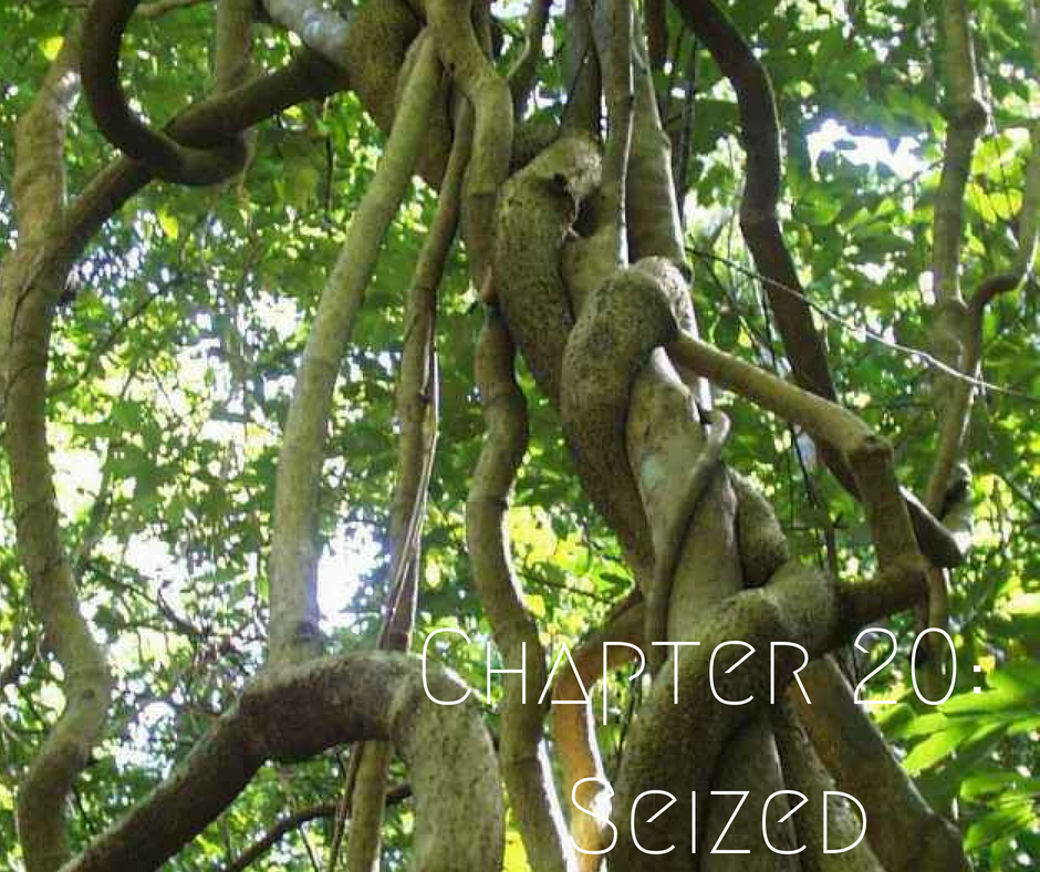 Her Dual Abduction Chapter 20