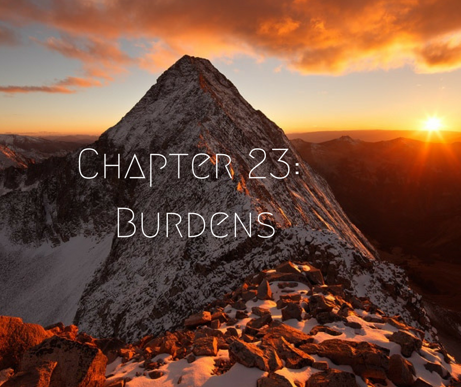 Her Dual Abduction Chapter 23