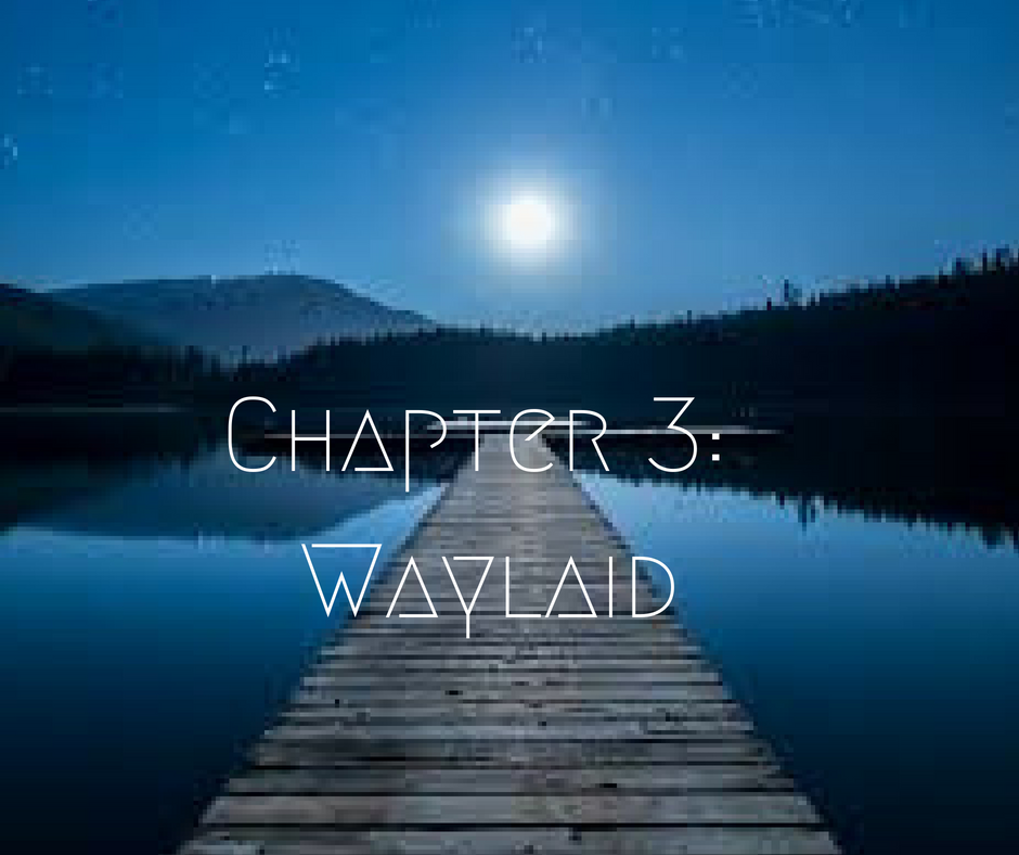 Her Dual Abduction Chapter 3
