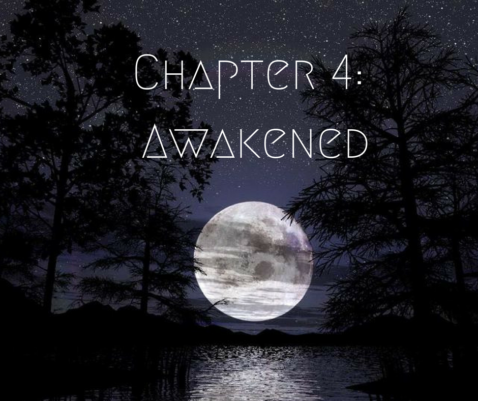 Her Dual Abduction Chapter 4
