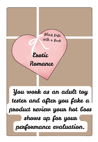Blind Date with a Book PERFORMANCE EVALUATION